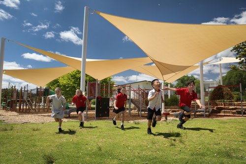 Tatachilla 2025  Tatachilla 2025