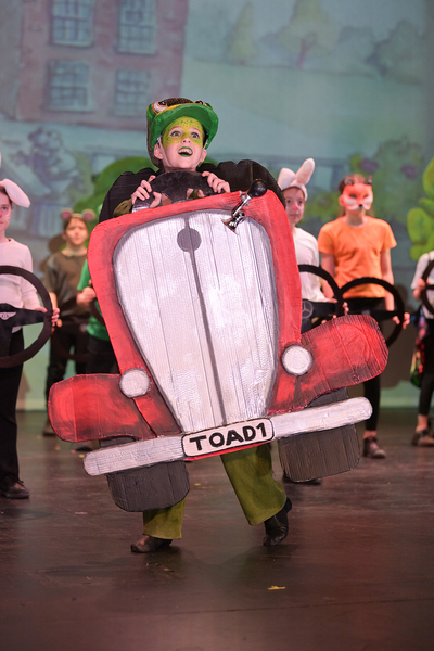 Wind in the Willows-0810