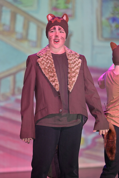 Wind in the Willows-0935