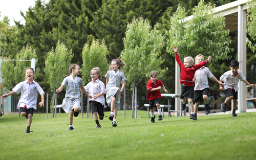 Tatachilla 2025  Tatachilla 2025