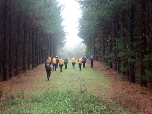 Tatachilla 2025  Tatachilla 2025