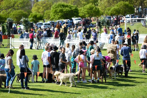 Tatachilla 2025  Tatachilla 2025